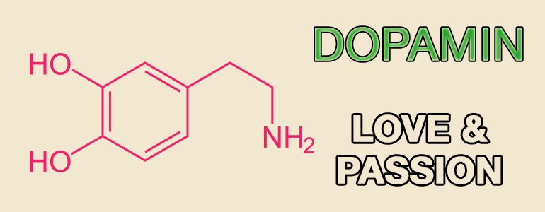 happiness-hormones-dopamine