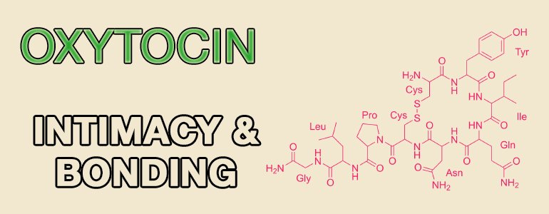 happiness-hormones-oxytocin