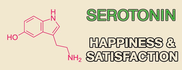 Happiness-hormones-serotonin