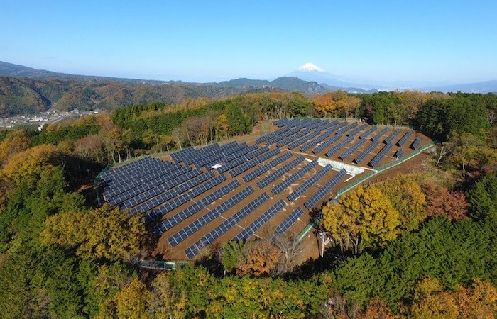 positive-news-solar-panel-plant.jpg