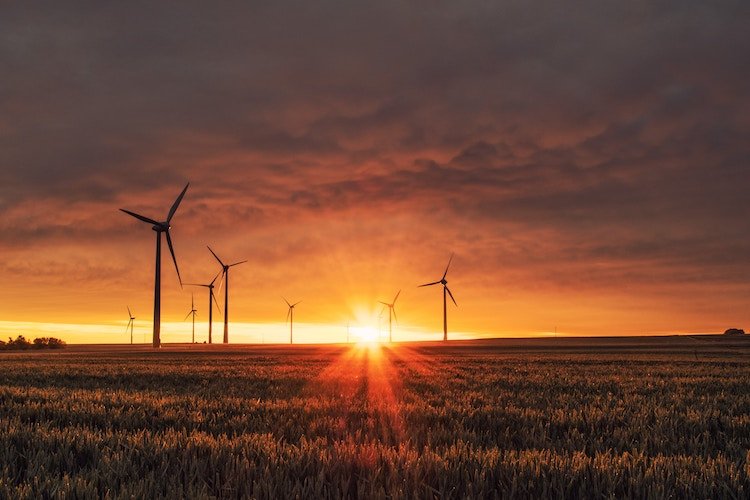 feel-good-positive-news-2019-wind-turbines.jpg