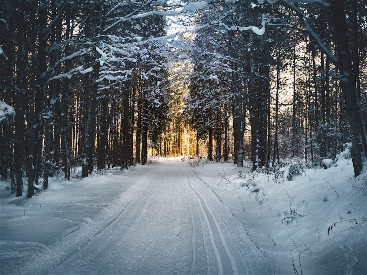 More information about "Schwierige Weihnachtszeit: 10 Tipps zum Umgang mit Trauer während der Festtage"