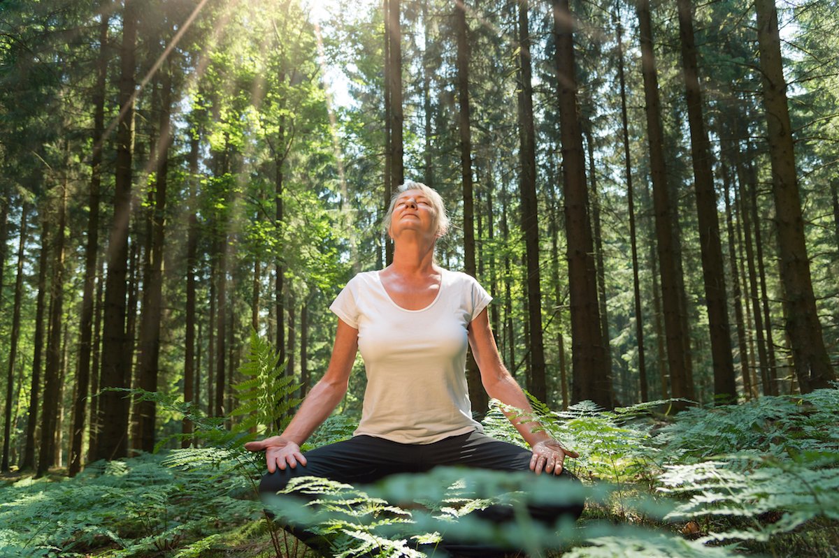 More information about "What is forest bathing? Discover 6 key health benefits"