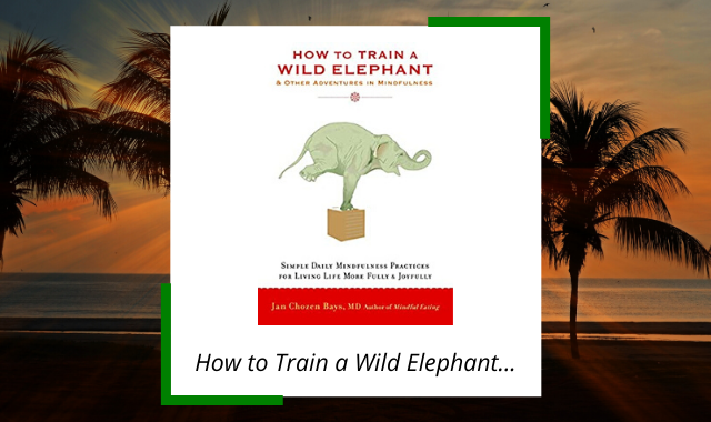 best-midfulness-books-how-to-train-wild-elephant.png