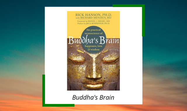 best-midfulness-books-wherever-you-go-buddhas-brain.png