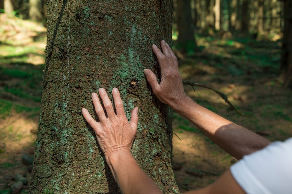 forest-bathing-benefits.jpg