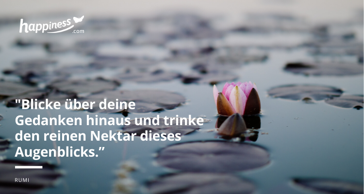 Zitate spirituelle SEELENFLÜGEL