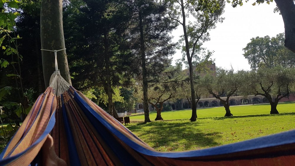 Chilling out in a hammock between the two nights of the ayahuasca experience