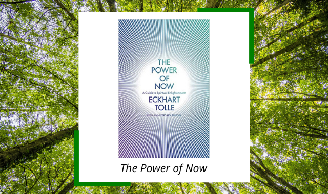 best-meditation-books-the-power-of-now.png