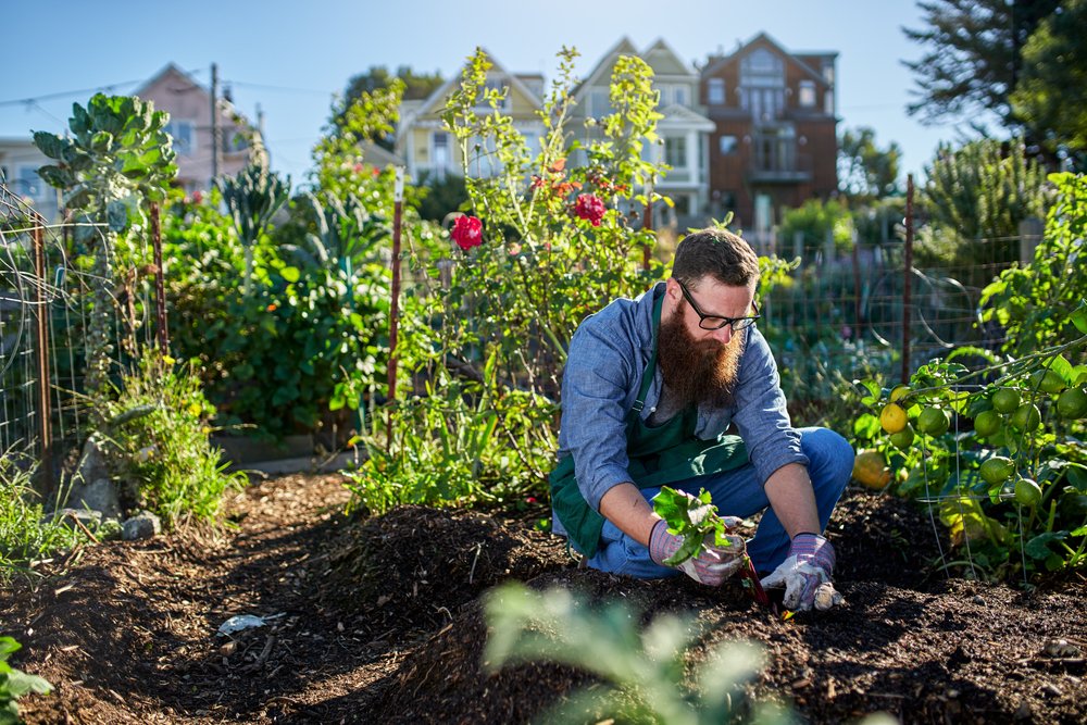 morita-therapy-gardening.jpg