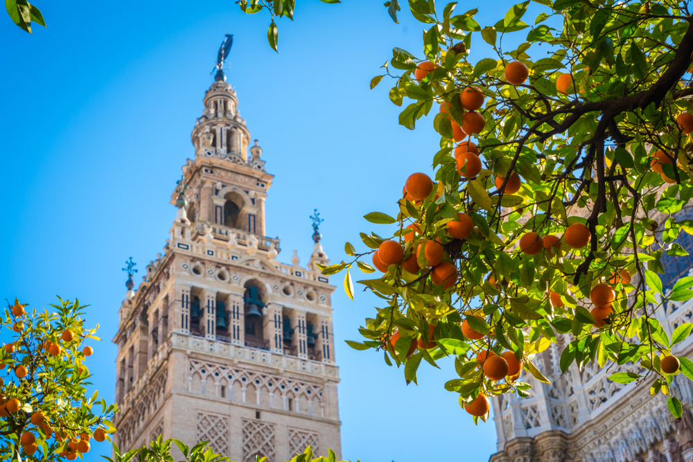 feel-good-news-seville-oranges.jpg