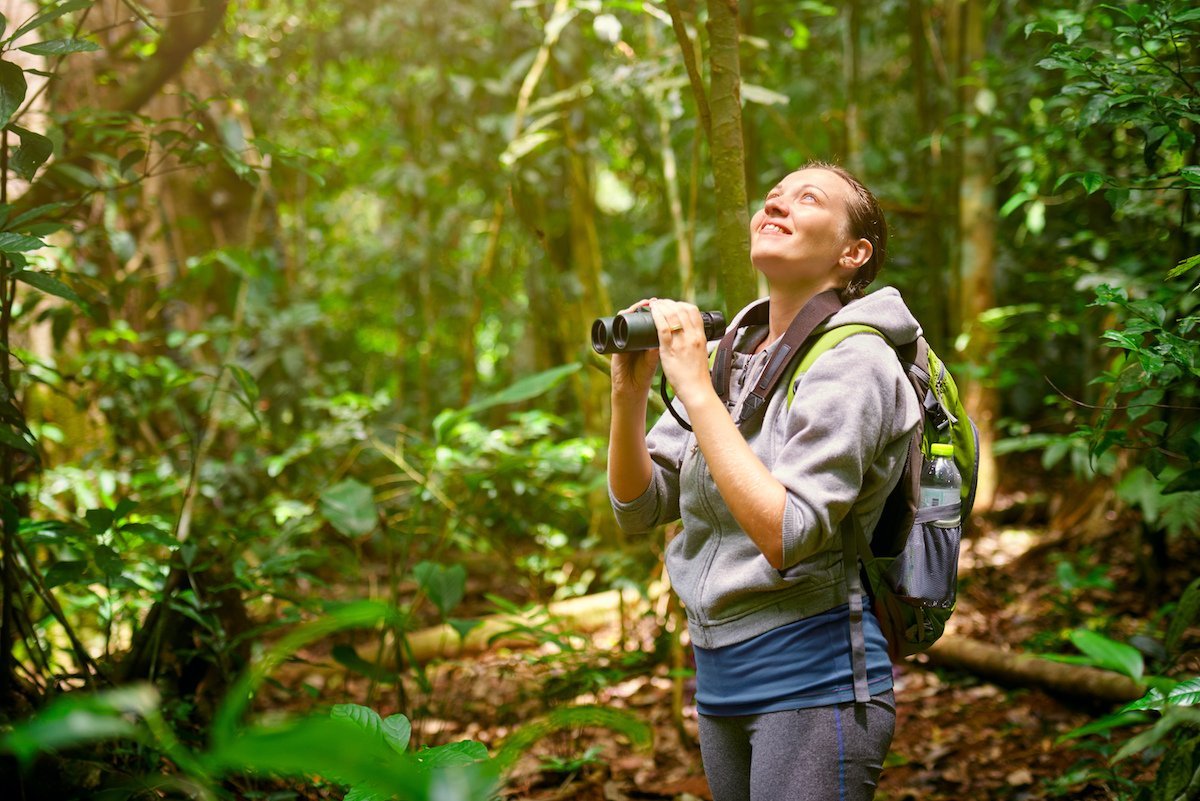 More information about "Beautiful Birding: 7 Mental Health Benefits of Bird Watching"