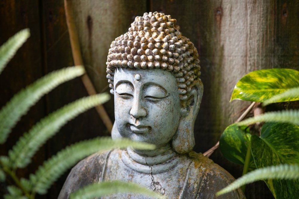 schools-of-buddhism.jpg