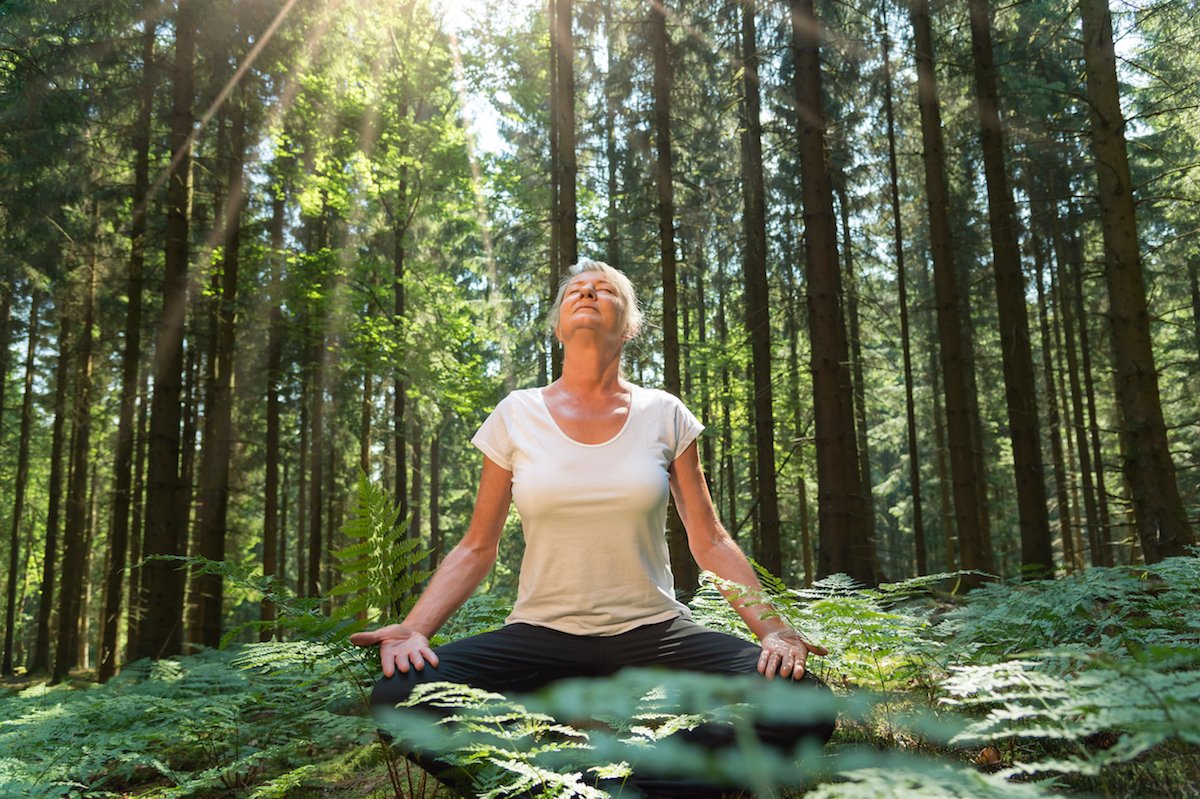 The benefits of forest bathing six sciencebacked ways it can improve