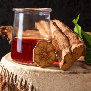 Ayahuasca