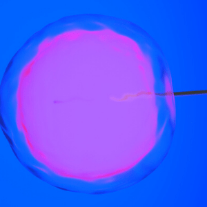 Fertility