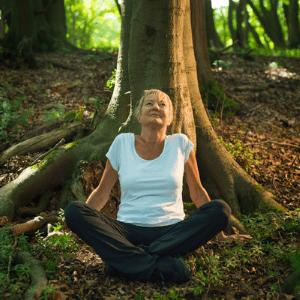 Forest Bathing