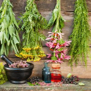 Herbalism