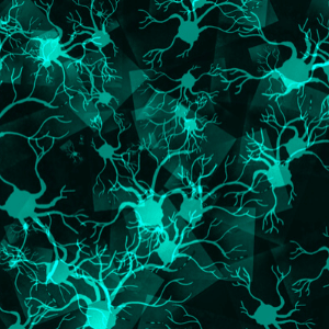Neuroplasticity