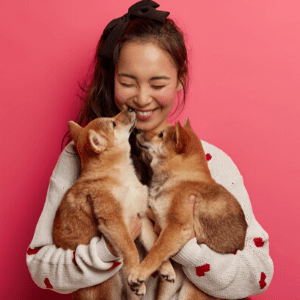 Pets