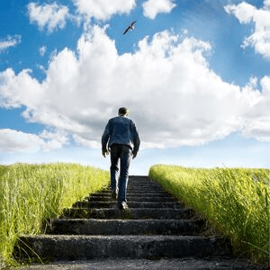 Purpose Of Life