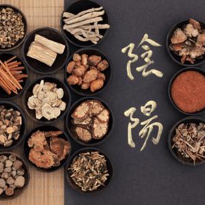 Tcm Traditional Chinese Medicine