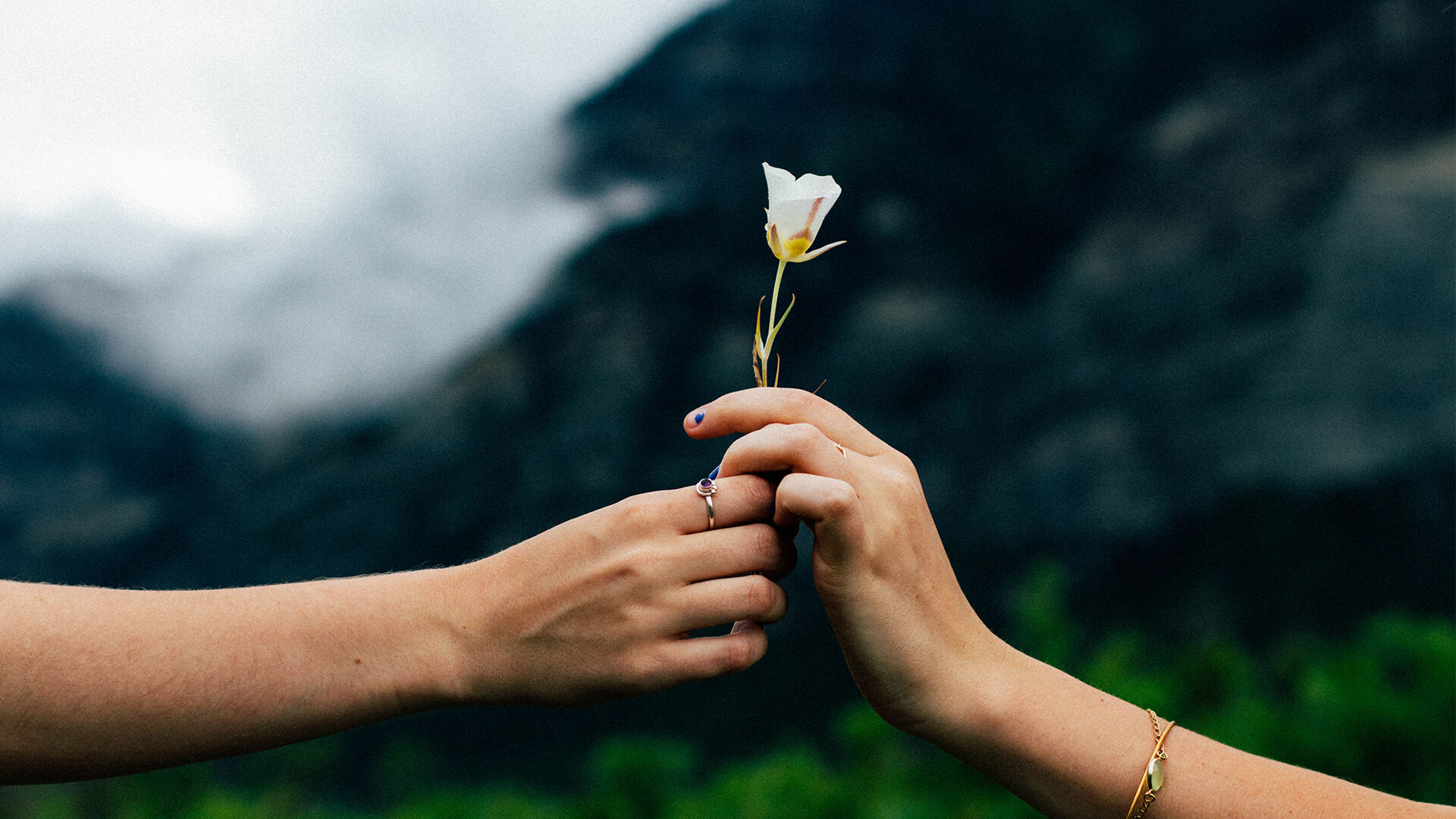 The Good Cards: acts of kindness