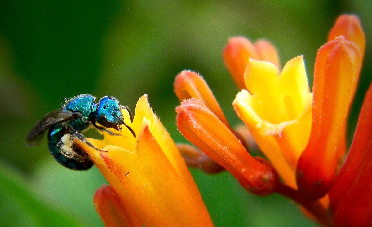 The Bright Side: feel-good news from May