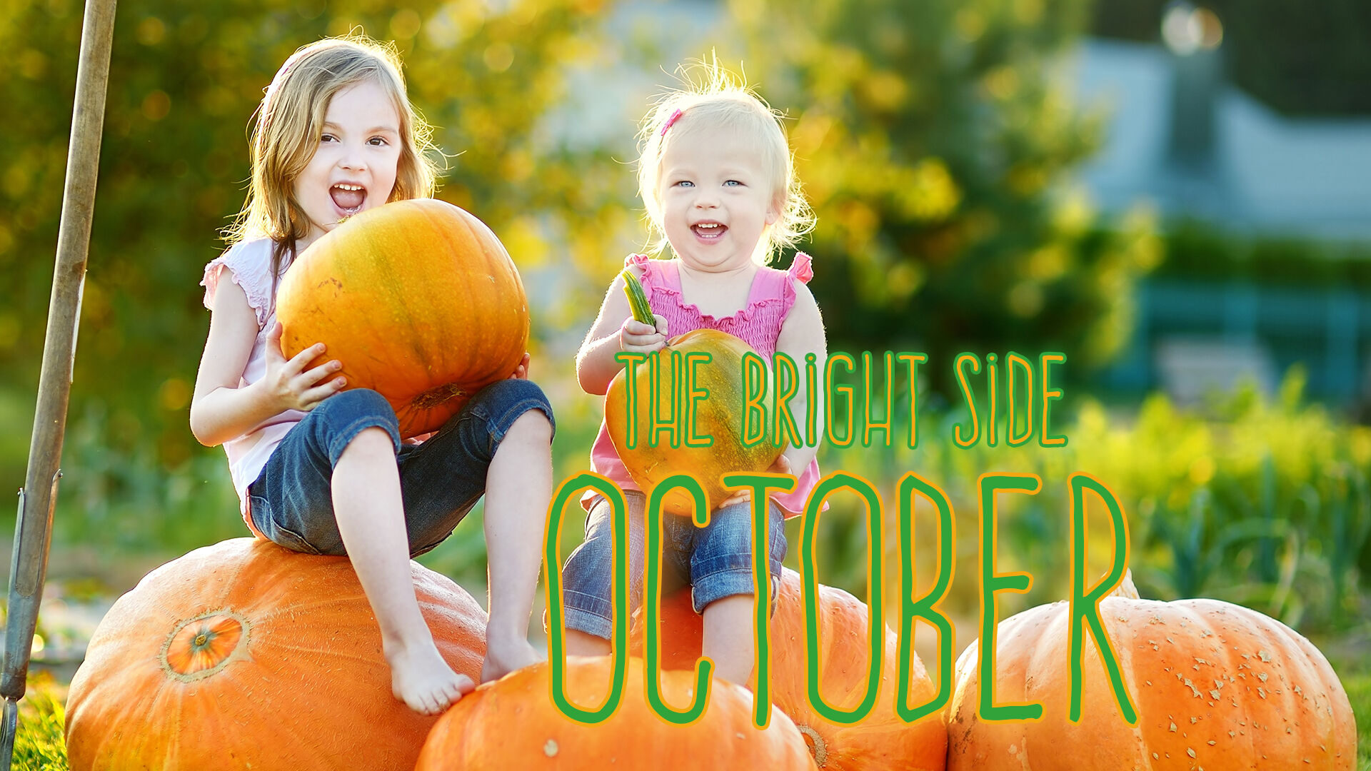 The Bright Side: positive news from October
