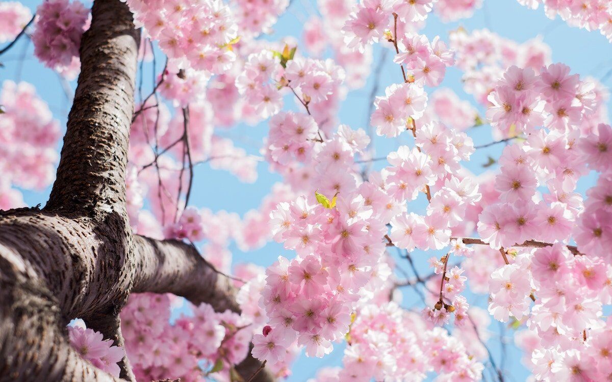 The Bright Side: positive news from March