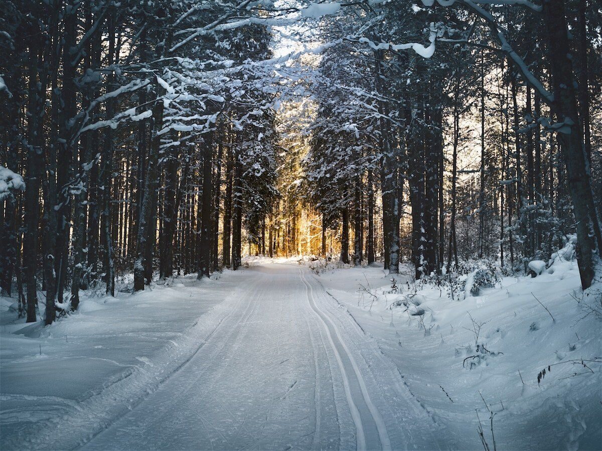 Christmas and Holiday Grief: 10 Tips For Coping