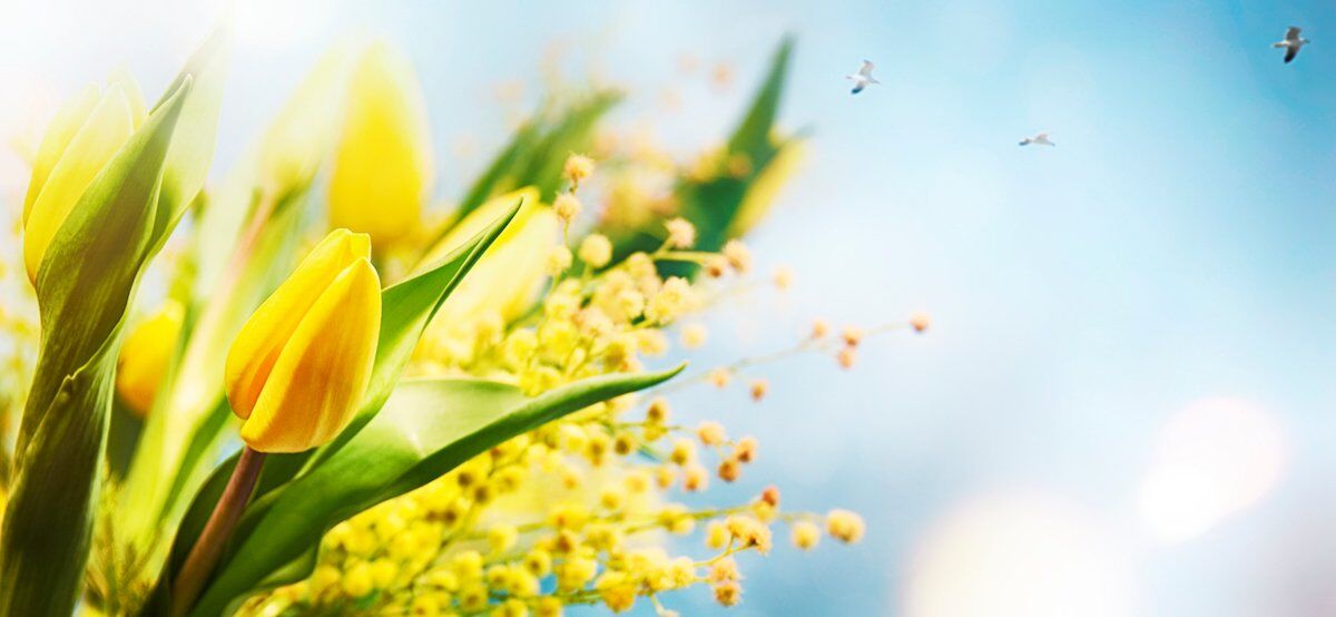 The Bright Side: feel-good news from February