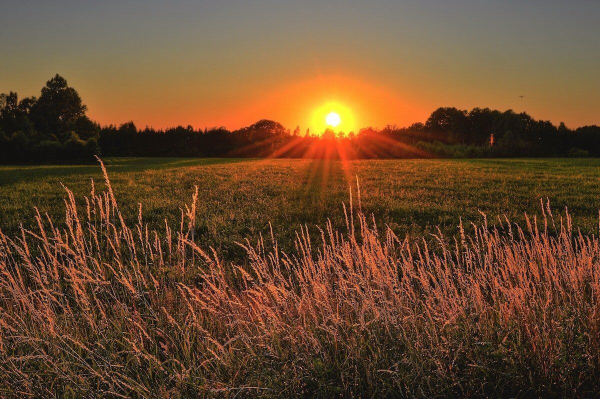 The Bright Side: feel-good news from August