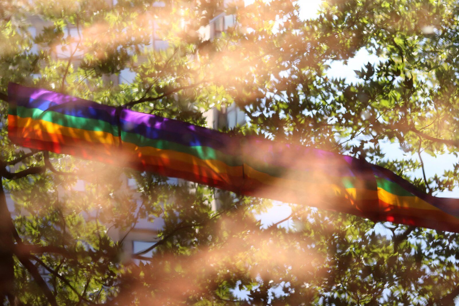 Queer life and the pursuit of happiness