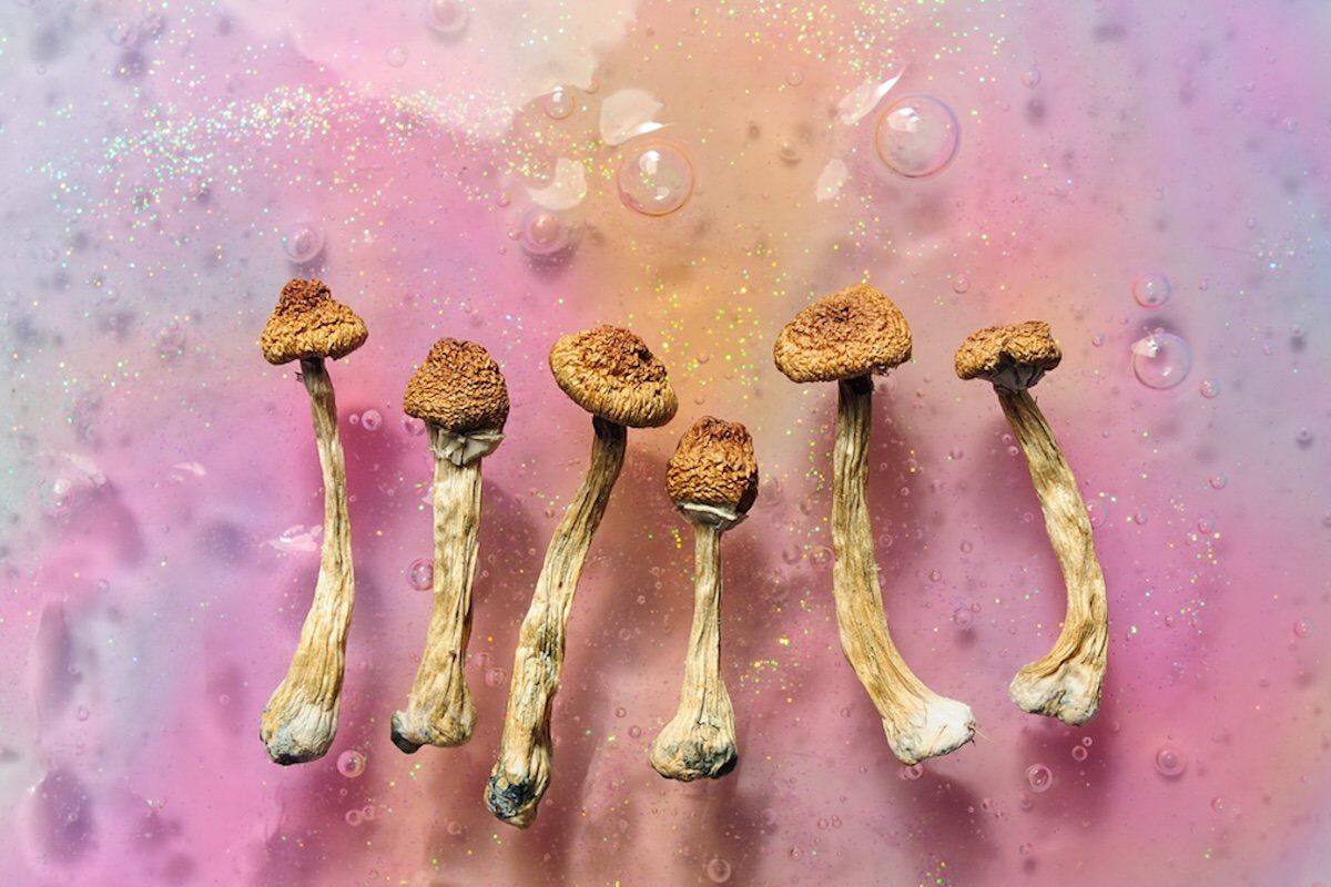 What Science Says About Microdosing Magic Mushrooms