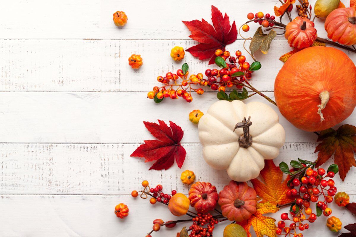 The Bright Side: feel-good news from November