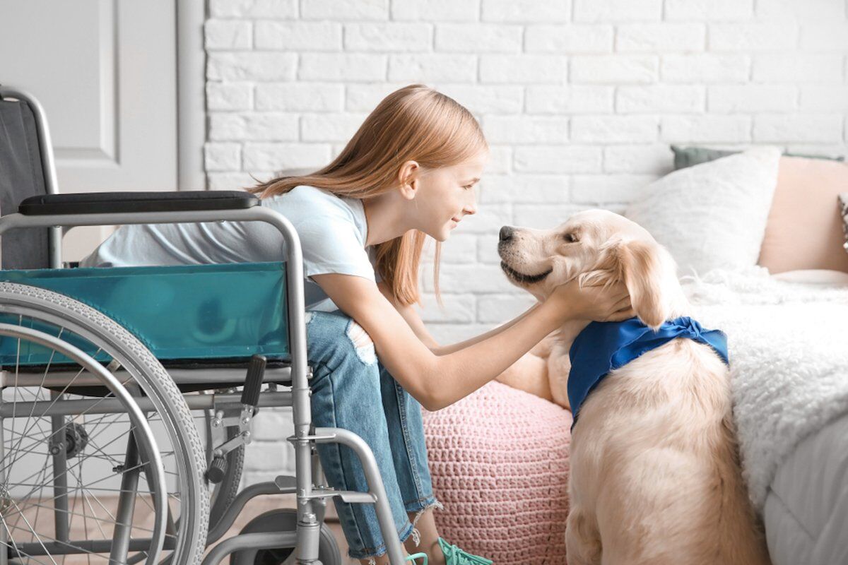 The healing power of pets: 6 key health benefits